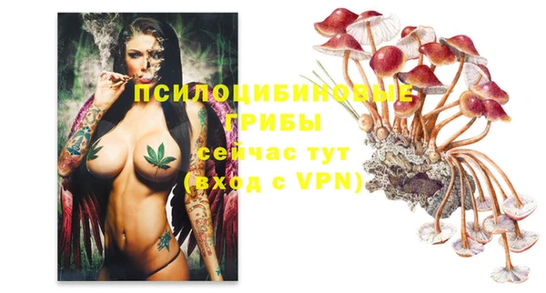 гидропоника Аркадак