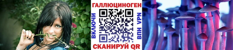 Псилоцибиновые грибы Psilocybe  Белинский 